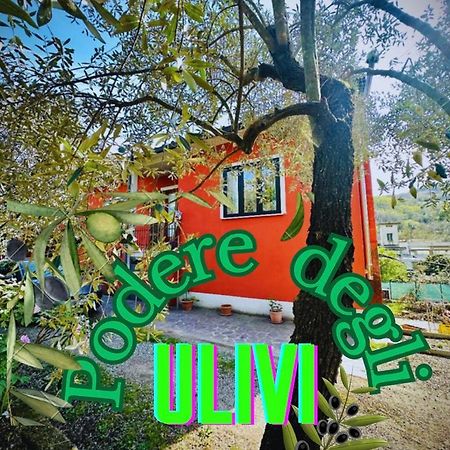 セッラヴァッレ・ピストイエーゼ Podere Degli Ulivi Familyヴィラ エクステリア 写真