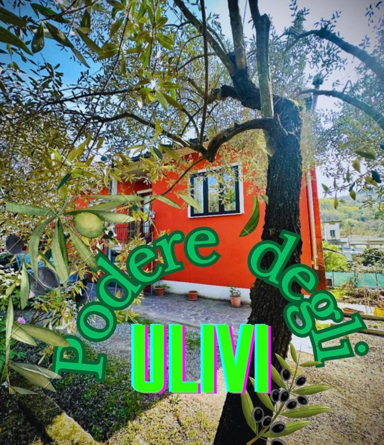 セッラヴァッレ・ピストイエーゼ Podere Degli Ulivi Familyヴィラ エクステリア 写真